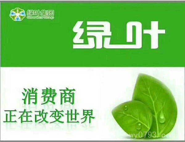 绿叶敞开怀   有梦你就来