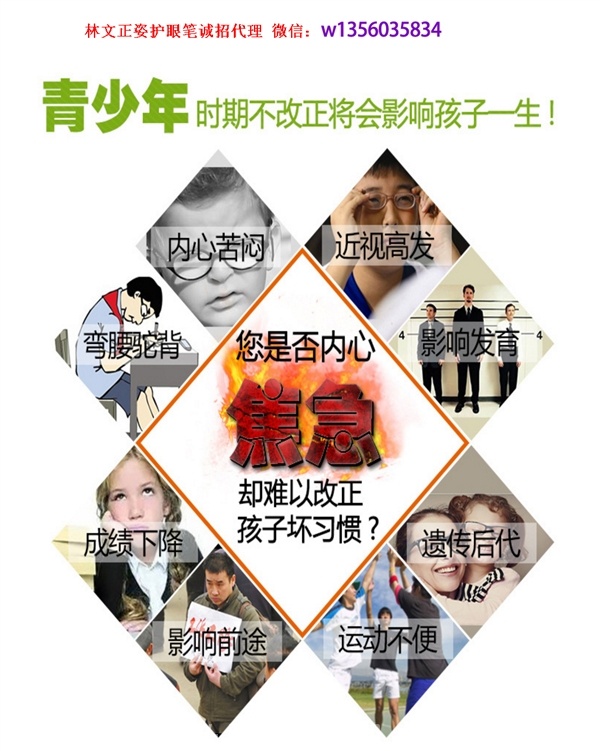 林文正姿护眼笔批发零售