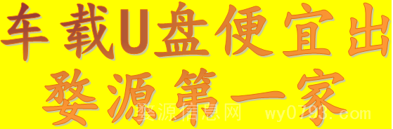 车载U盘 便宜出