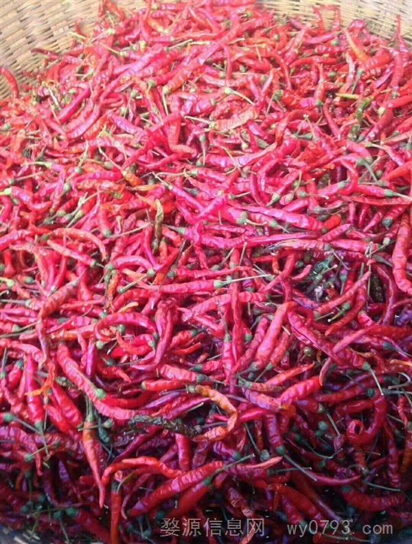 辣椒干